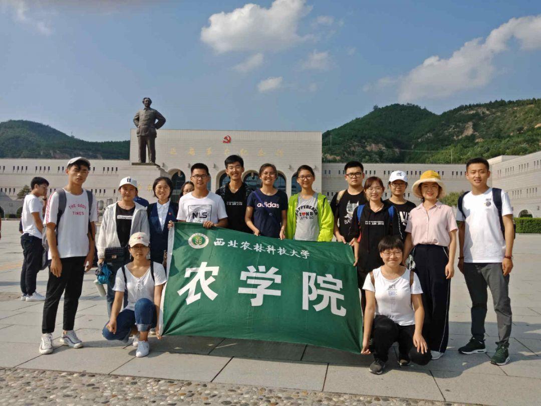 大话2经典版